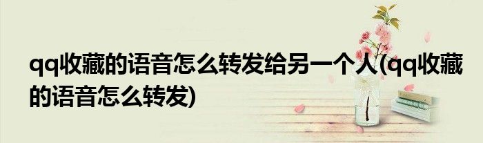 qq收藏的语音怎么转发给另一个人(qq收藏的语音怎么转发)