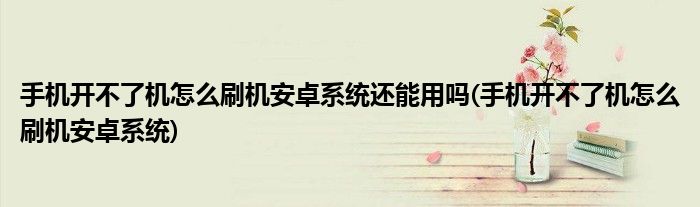 手机开不了机怎么刷机安卓系统还能用吗(手机开不了机怎么刷机安卓系统)