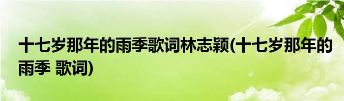 十七岁那年的雨季歌词林志颖(十七岁那年的雨季 歌词)