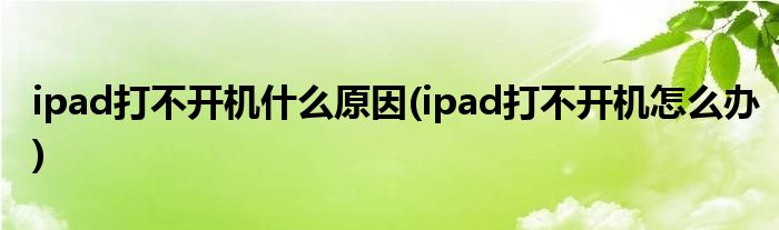 ipad打不开机什么原因(ipad打不开机怎么办)