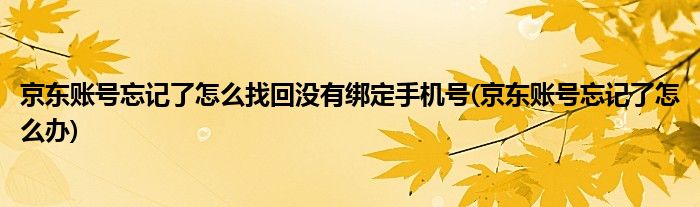 京东账号忘记了怎么找回没有绑定手机号(京东账号忘记了怎么办)