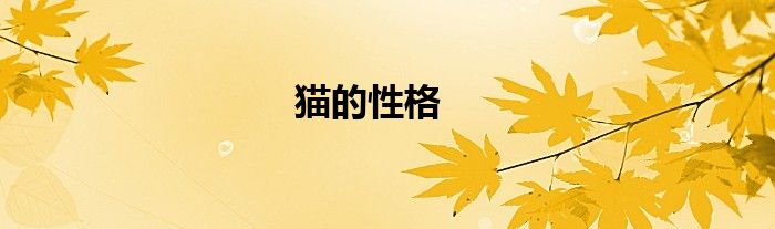 猫的性格