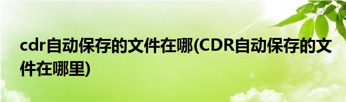 cdr自动保存的文件在哪(CDR自动保存的文件在哪里)