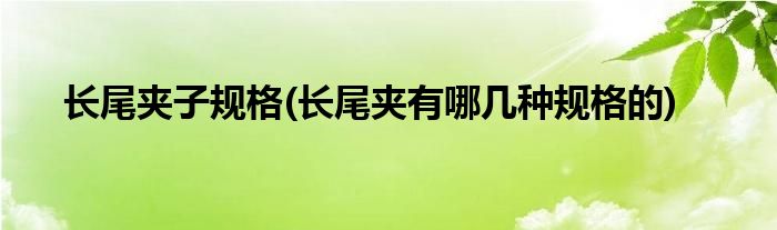 长尾夹子规格(长尾夹有哪几种规格的)