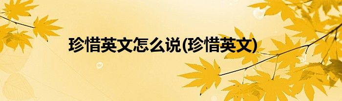 珍惜英文怎么说(珍惜英文)