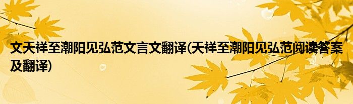 文天祥至潮阳见弘范文言文翻译(天祥至潮阳见弘范阅读答案及翻译)