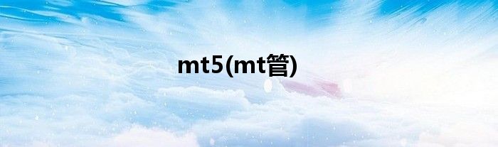 mt5(mt管)