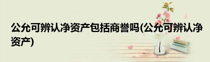 公允可辨认净资产包括商誉吗(公允可辨认净资产)