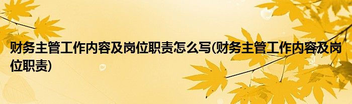 财务主管工作内容及岗位职责怎么写(财务主管工作内容及岗位职责)
