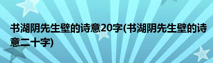 书湖阴先生壁的诗意20字(书湖阴先生壁的诗意二十字)