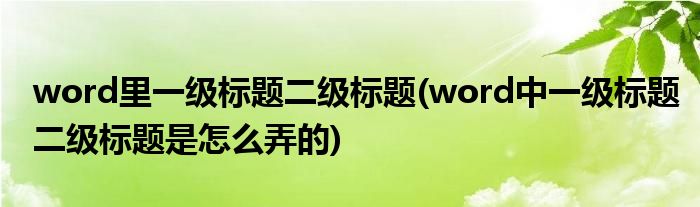 word里一级标题二级标题(word中一级标题二级标题是怎么弄的)