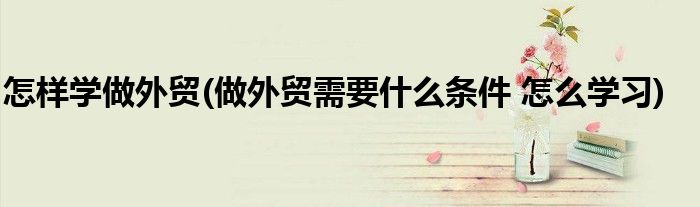 怎样学做外贸(做外贸需要什么条件 怎么学习)