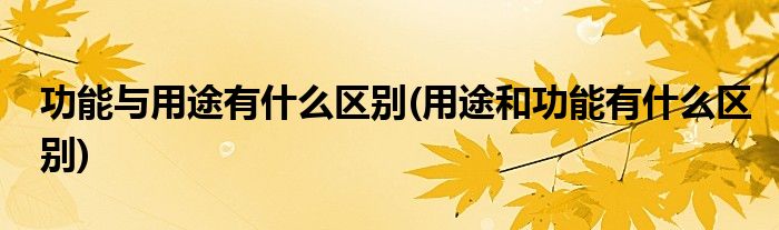 功能与用途有什么区别(用途和功能有什么区别)