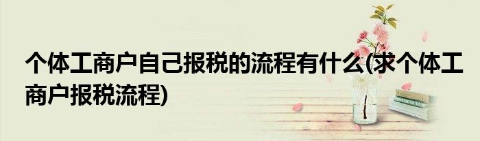 个体工商户自己报税的流程有什么(求个体工商户报税流程)