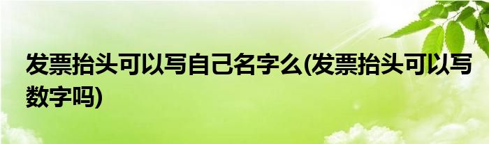 发票抬头可以写自己名字么(发票抬头可以写数字吗)