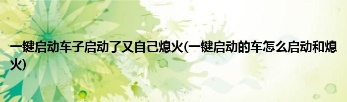 一键启动车子启动了又自己熄火(一键启动的车怎么启动和熄火)
