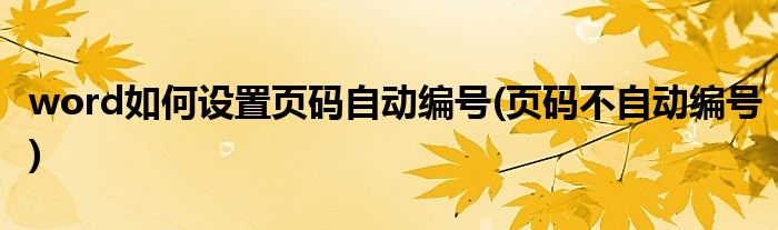 word如何设置页码自动编号(页码不自动编号)