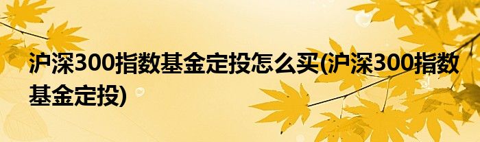 沪深300指数基金定投怎么买(沪深300指数基金定投)