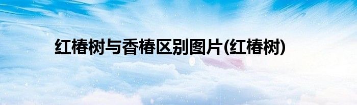 红椿树与香椿区别图片(红椿树)