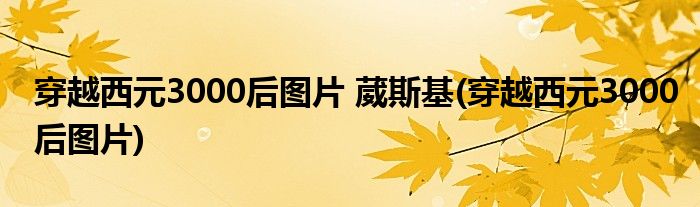 穿越西元3000后图片 葳斯基(穿越西元3000后图片)