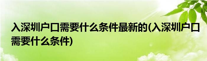 入深圳户口需要什么条件最新的(入深圳户口需要什么条件)