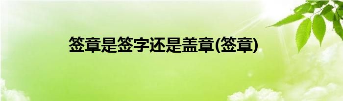 签章是签字还是盖章(签章)