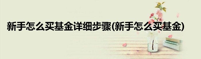 新手怎么买基金详细步骤(新手怎么买基金)
