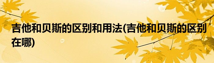 吉他和贝斯的区别和用法(吉他和贝斯的区别在哪)