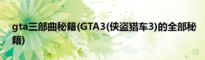 gta三部曲秘籍(GTA3(侠盗猎车3)的全部秘籍)