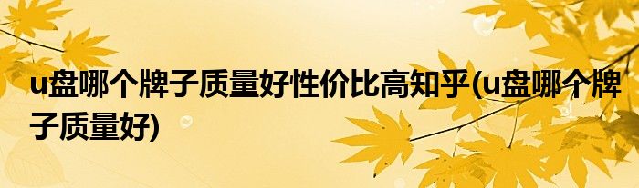 u盘哪个牌子质量好性价比高知乎(u盘哪个牌子质量好)