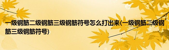 一级钢筋二级钢筋三级钢筋符号怎么打出来(一级钢筋二级钢筋三级钢筋符号)