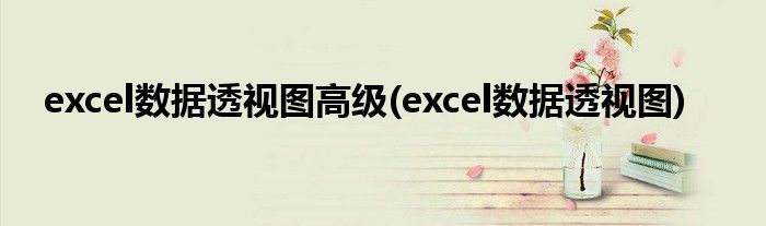 excel数据透视图高级(excel数据透视图)
