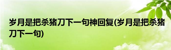 岁月是把杀猪刀下一句神回复(岁月是把杀猪刀下一句)