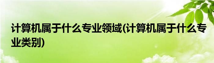 计算机属于什么专业领域(计算机属于什么专业类别)