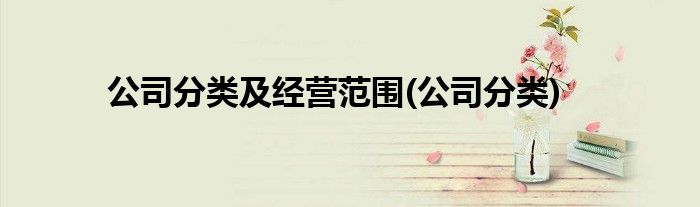 公司分类及经营范围(公司分类)