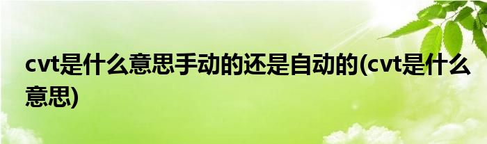cvt是什么意思手动的还是自动的(cvt是什么意思)