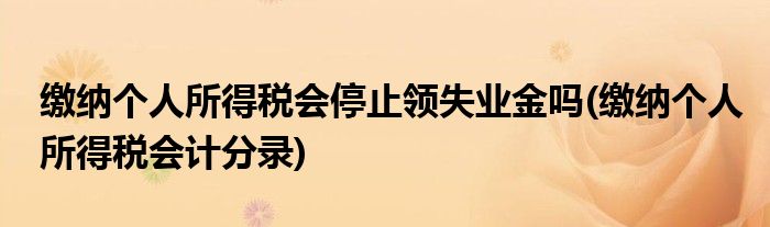 缴纳个人所得税会停止领失业金吗(缴纳个人所得税会计分录)