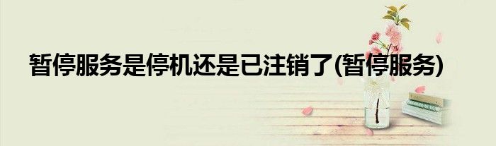 暂停服务是停机还是已注销了(暂停服务)