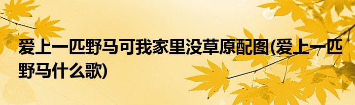 爱上一匹野马可我家里没草原配图(爱上一匹野马什么歌)