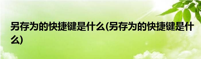 另存为的快捷键是什么(另存为的快捷键是什么)