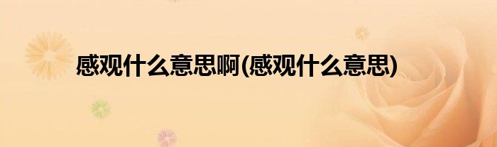 感观什么意思啊(感观什么意思)