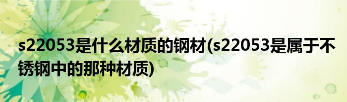 s22053是什么材质的钢材(s22053是属于不锈钢中的那种材质)
