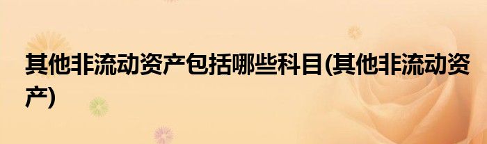 其他非流动资产包括哪些科目(其他非流动资产)