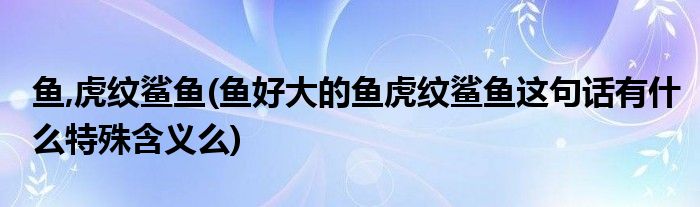 鱼,虎纹鲨鱼(鱼好大的鱼虎纹鲨鱼这句话有什么特殊含义么)