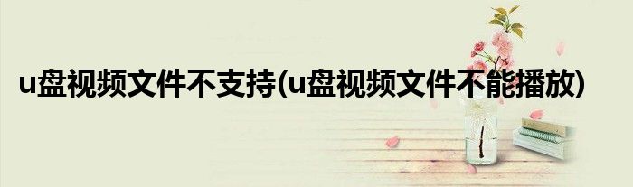 u盘视频文件不支持(u盘视频文件不能播放)