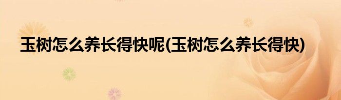 玉树怎么养长得快呢(玉树怎么养长得快)