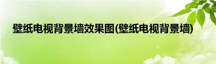 壁纸电视背景墙效果图(壁纸电视背景墙)