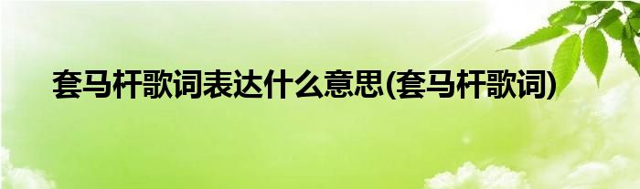 套马杆歌词表达什么意思(套马杆歌词)