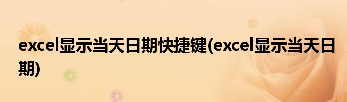excel显示当天日期快捷键(excel显示当天日期)