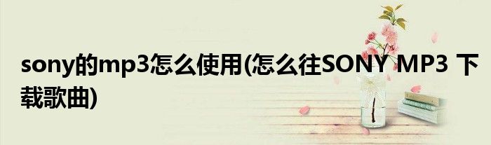sony的mp3怎么使用(怎么往SONY MP3 下载歌曲)